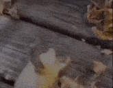 a frog with a smiling face is standing on a wooden deck