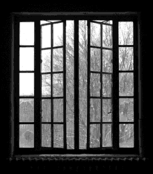 Window Raining GIF - Window Raining GIFs