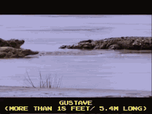 Gustave Crocodile GIF - Gustave Gustav Crocodile GIFs