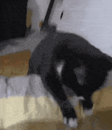 a black cat is laying on a bed with its head on the floor .