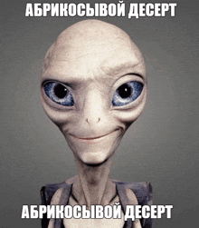 a picture of an alien with blue eyes and the words " абрикосовой десерт " below it