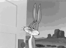 Bugs Bunny Wohoo GIF - Bugs Bunny Wohoo GIFs