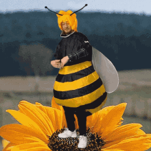 Cooksux Cooksux Bee GIF - Cooksux Cooksux Bee Bee GIFs