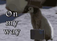 Home On My Way GIF - Home On My Way Penguin GIFs