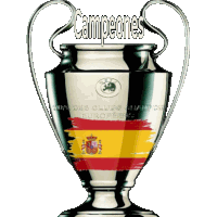 a silver trophy with the words campeones on it