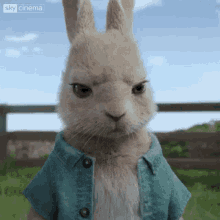 Bleh Peter Rabbit GIF - Bleh Peter Rabbit Disgusting GIFs
