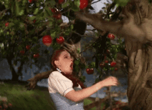 The Wizard Of Oz Dorothy GIF - The Wizard Of Oz Dorothy No Touching GIFs