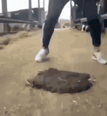 a person is standing on top of a manhole cover .