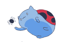 catbug cute spider playful insect