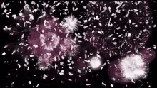 a bunch of fireworks are going off in the sky