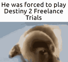 He Was Forced Destiny2 GIF