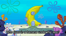 spongebob who lives in a banana under the sea spongebob squarepants banana banana peel