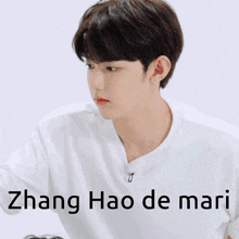 Zhanghao Mari Zb1 Mari GIF - Zhanghao mari Zb1 mari - Discover & Share GIFs