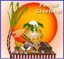 Pongal Greetings GIF