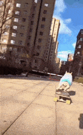 Dog Skateboard GIF - Dog Skateboard Skate Board GIFs