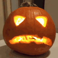 pumpkin miana