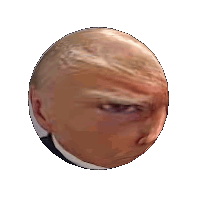 Trump Mugshot Trump Ball Sticker - Trump Mugshot Trump Trump Ball Stickers