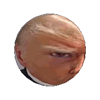 a close up of donald trump 's face with a bald head