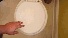 Garanikor Toilet GIF - Garanikor Toilet Poop GIFs