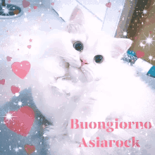 Asiarock Buongiorno GIF - Asiarock Buongiorno Cat GIFs