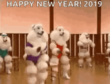 Happy New Year2019 Dance GIF - Happy New Year2019 Dance Poodle GIFs