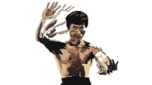Bruce Lee Martial Arts GIF