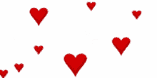amor hearts red hearts lots of love flying hearts