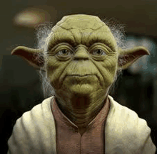Yoda Wisdom GIF - Yoda Wisdom GIFs