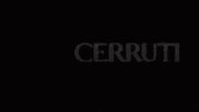 Cerruti Model GIF - Cerruti Model Roblox GIFs
