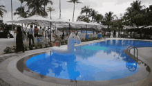 Poolside Cabana GIF - Cabana Beach Club Club GIFs