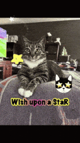 a cat is laying on a bed with the words wish upon a star written above it