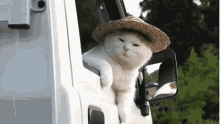 Cat Hat GIF - Cat Hat Cute GIFs
