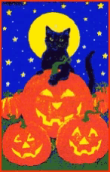 Cat Happy Halloween GIF - Cat Happy Halloween Pumpkin GIFs