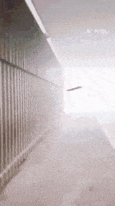 the word vita is on the bottom of a photo