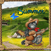 Symphony For A Summer Cat Playing Banjo GIF