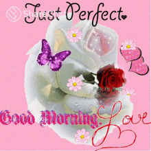 Just Perfect Good Morning Love शुभप्रभात GIF - Just Perfect Good Morning Love शुभप्रभात सुप्रभात GIFs