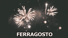 Ferragosto Buon Ferragosto Fuochi Artificiali GIF - Assumption Of Mary Enjoy This Day Fireworks GIFs