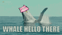 Whale Nippy Whale GIF