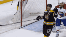 Boston Bruins Hockey GIF - Boston Bruins Hockey Nhl GIFs