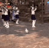 Cockatoo Thewulf GIF - Cockatoo Thewulf Dancing GIFs