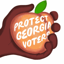 georgian georgia georgia voter georgia voting rights voting rights