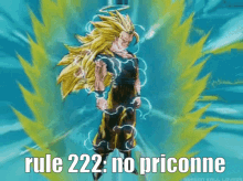 Rule Dragon Ball GIF - Rule Dragon Ball 222 GIFs
