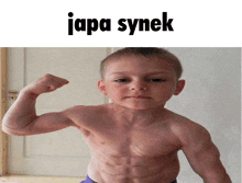 Japa Synek GIF - Japa Synek GIFs