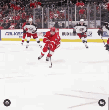 Detroit Red Wings GIF