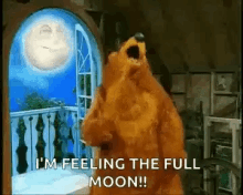Moon Bear GIF - Moon Bear Dancing GIFs