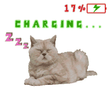 cat charge