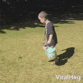 Trying To Get The Egg Viralhog GIF - Trying To Get The Egg Viralhog Chasing The Egg GIFs