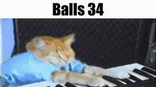 Balls Balls 34 GIF - Balls Balls 34 Cat GIFs