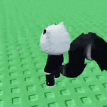 a cat with a black tail is walking on a green tile floor .