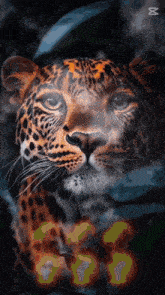 a close up of a leopard 's face with the numbers 666 behind it